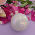 Aqua Aura rose guľa