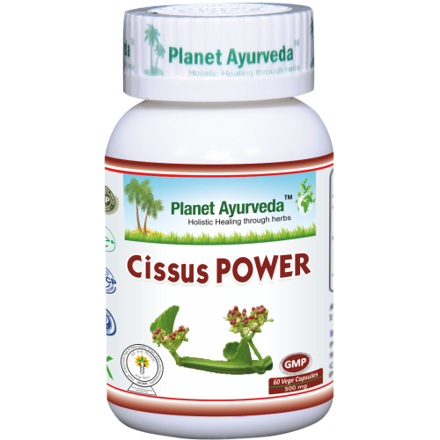 Cissus Power Kapsuly