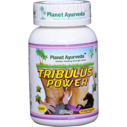 Tribulus Power Kapsule