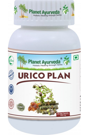 Urico Plan- zdravie močového systému