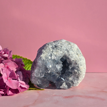 Celestín drúza 498g