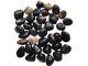 Sardonyx Sardonyx